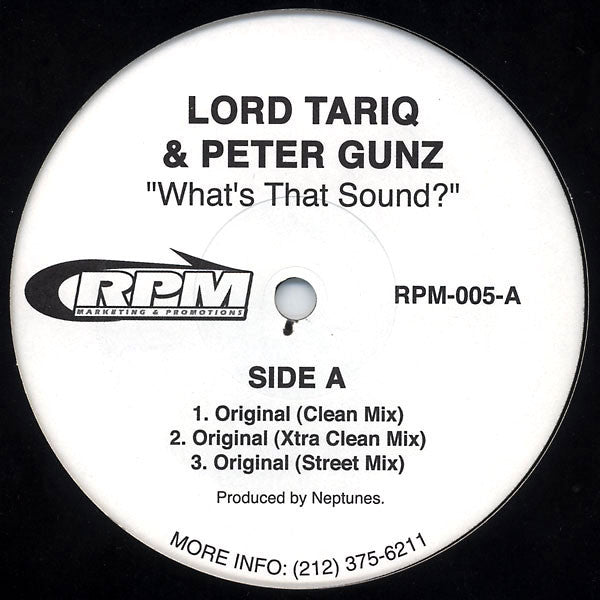 Lord Tariq & Peter Gunz : What's That Sound? (12")