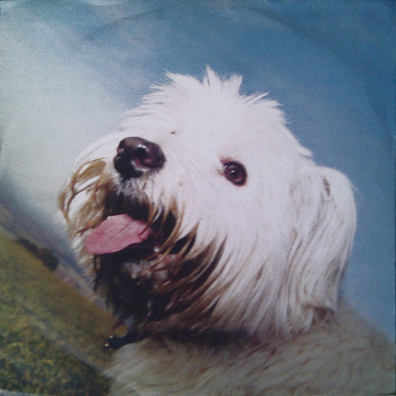 Moloko : Sing It Back (Mixes. 2) (12", Promo)