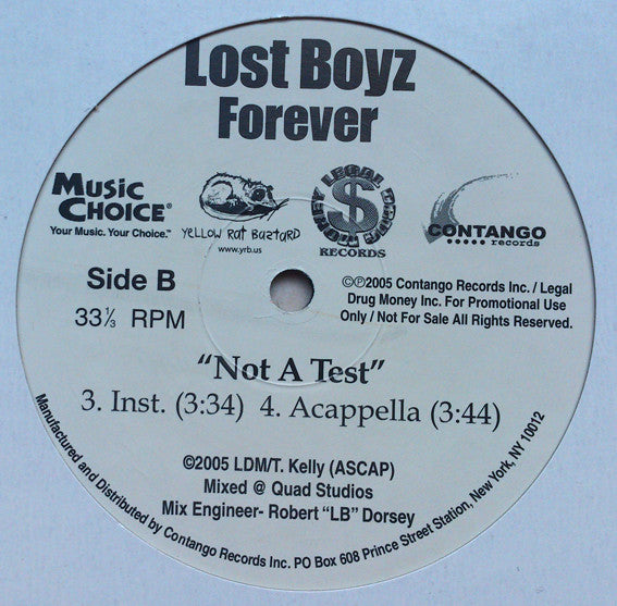 Lost Boyz : Not A Test (12", Promo)