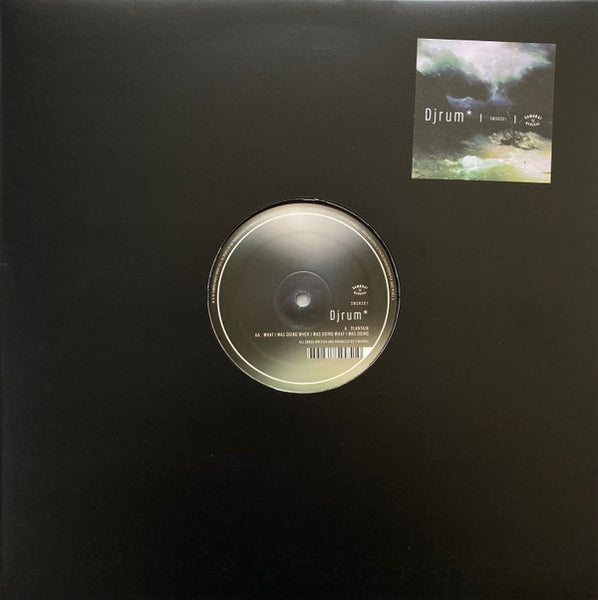 Djrum* : Plantain / What I Was Doing When I Was Doing What I Was Doing (12", Gre)