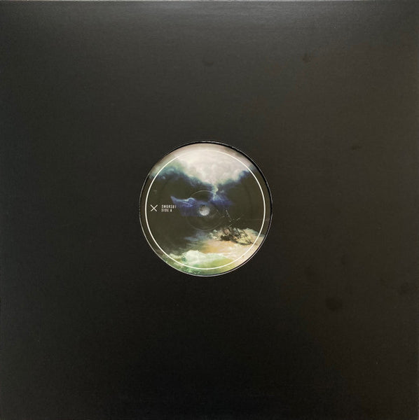 Djrum* : Plantain / What I Was Doing When I Was Doing What I Was Doing (12", Gre)