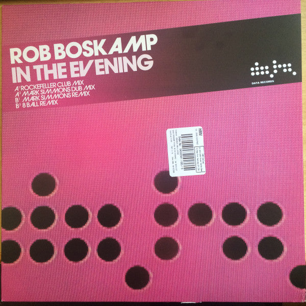 Rob Boskamp : In The Evening (12")