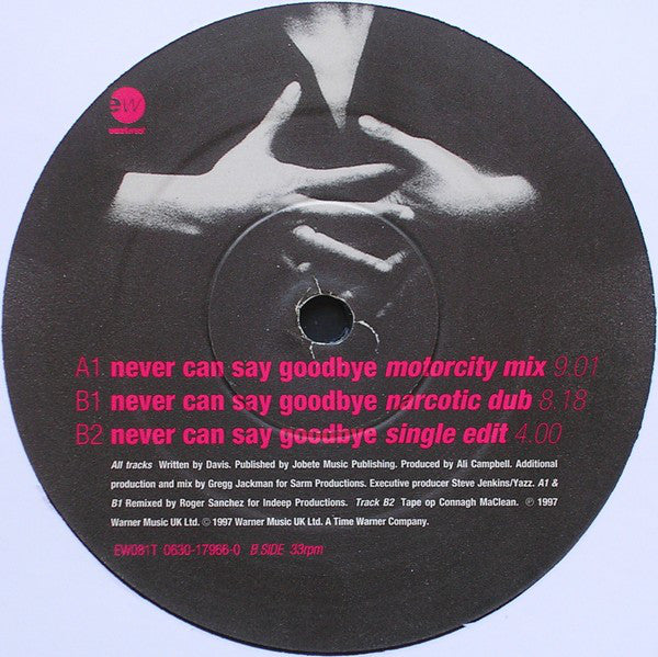 Yazz : Never Can Say Goodbye (12")