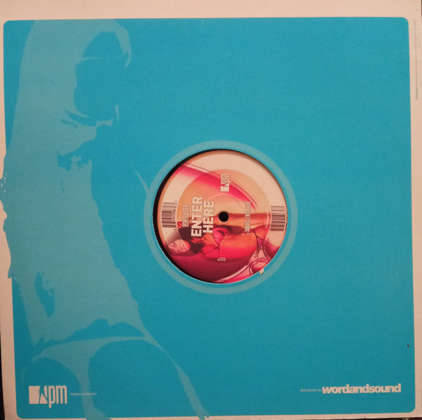 Ron Flatter : Enter Here (12")