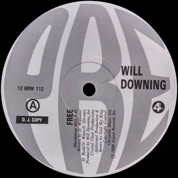 Will Downing : Free (12", Promo)