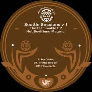 Not Boyfriend Material : Seattle Sessions V1 - The Flammable EP (12")
