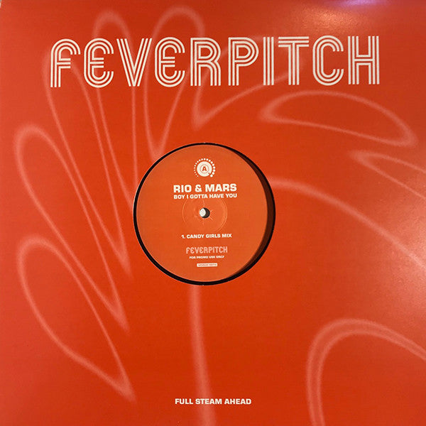 Rio & Mars : Boy I Gotta Have You (2x12", Promo)