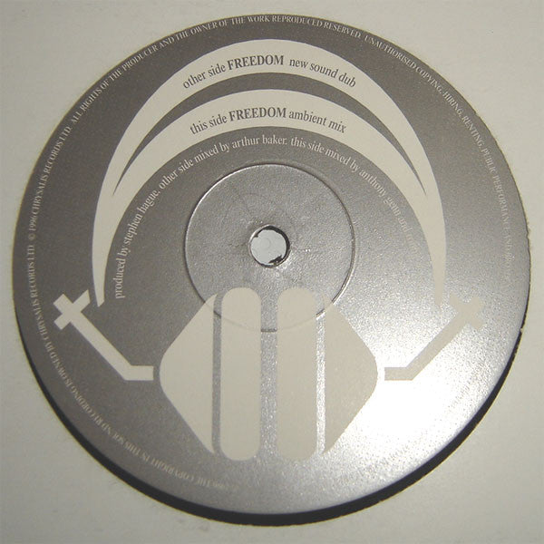 Robbie Williams : Freedom (12", Promo)