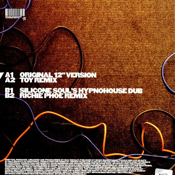 Max Sedgley : Celebrity (12")