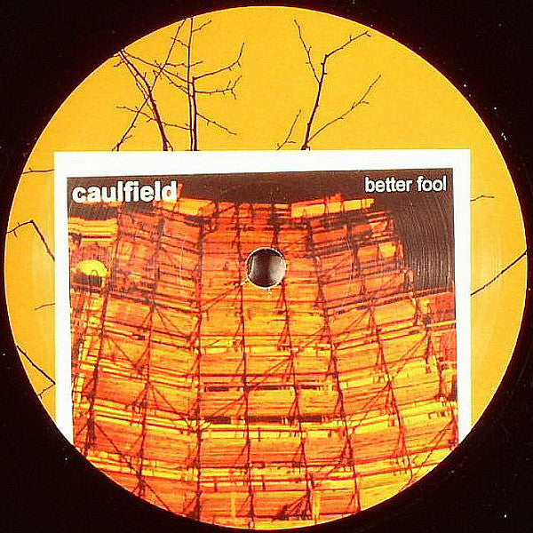 Caulfield : Better Fool (12")