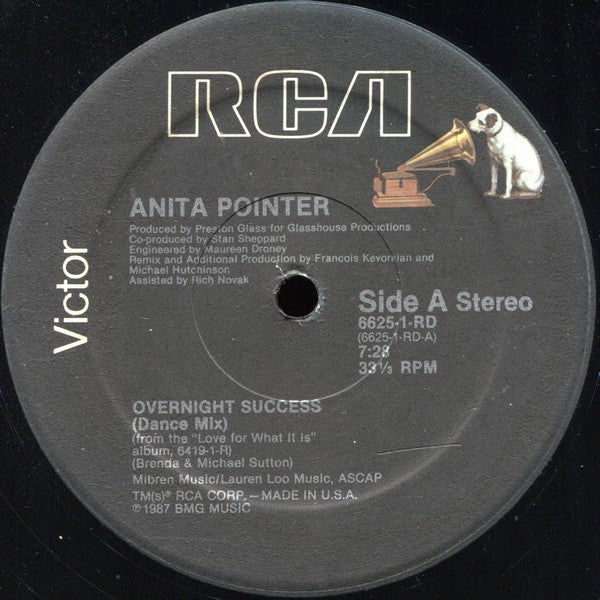 Anita Pointer : Overnight Success (12")