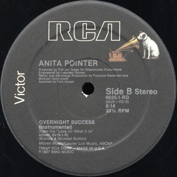 Anita Pointer : Overnight Success (12")