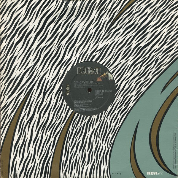 Anita Pointer : Overnight Success (12")