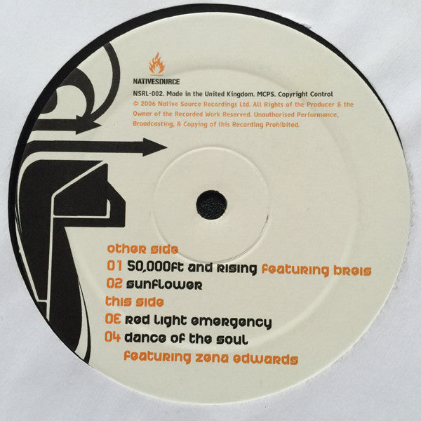 Positive Flow Featuring Donna Gardier : Positivity Album Sampler (12", Smplr)