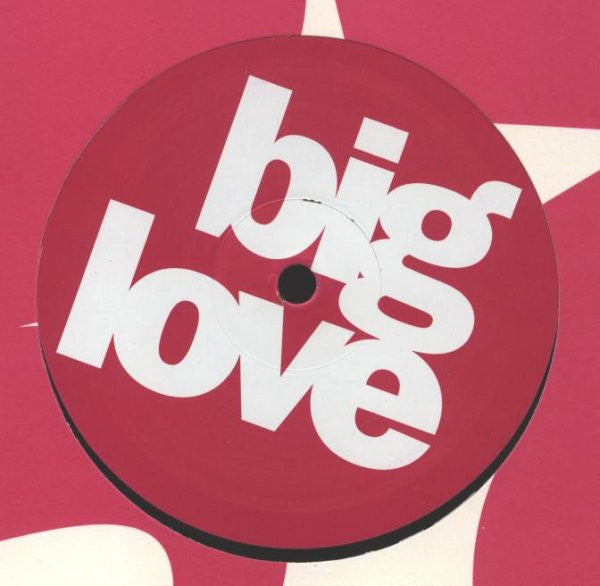 DJ Pierre Ft.  Sylfronia King : Destroy This Track (12")