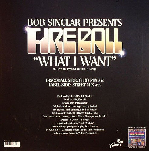 Bob Sinclar Presents Fireball (3) : What I Want (12")