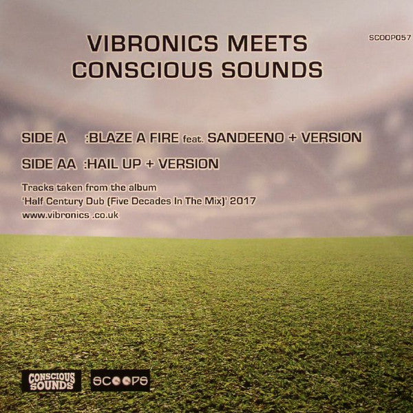 Vibronics Meets Conscious Sounds : Blaze A Fire/Hail Up (10", Single)