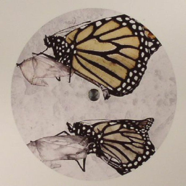 Homemade Weapons & MC Fokus : Chrysalis EP (12", EP, Whi)