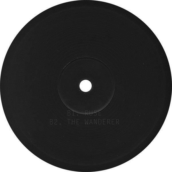 Delusion Men : Stuck On The Border (2x12", Album)