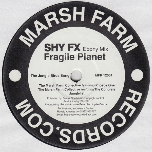 The Marsh Farm Collective : Fragile Planet (12")