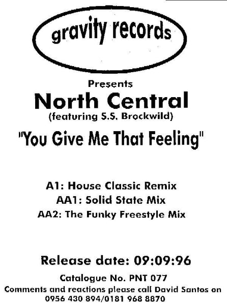 North Central : You Give Me That Feeling (12", W/Lbl)