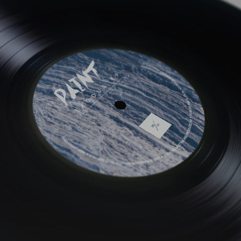 PAINT (10) : Exodus EP (12", EP)