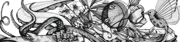 Steffi (8) : World Of The Waking State (2xLP, Album, Gat)