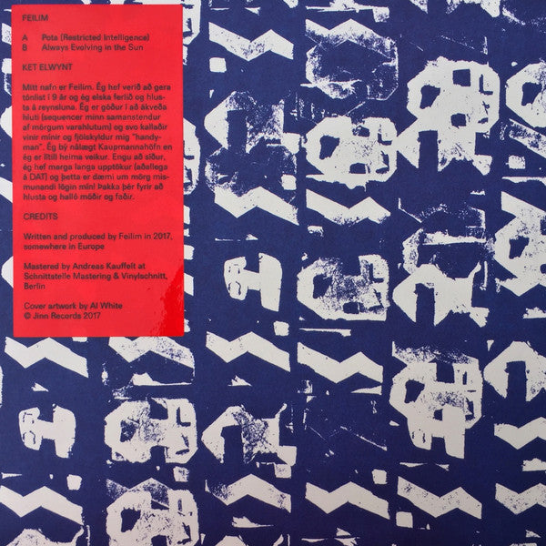 Feilim : Always Evolving In The Sun EP (12", EP)