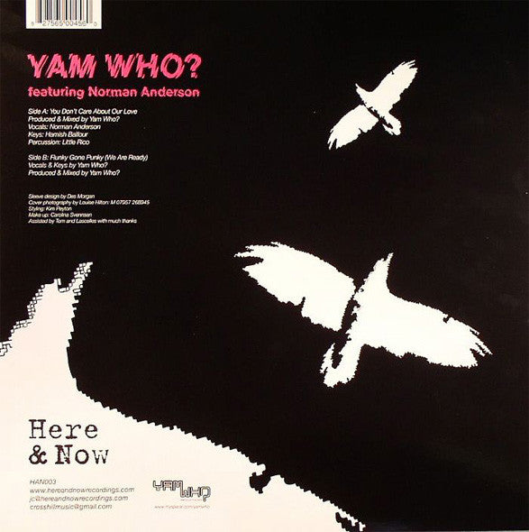 Yam Who? Feat. Norman Anderson : You Don't Care About Our Love (12")