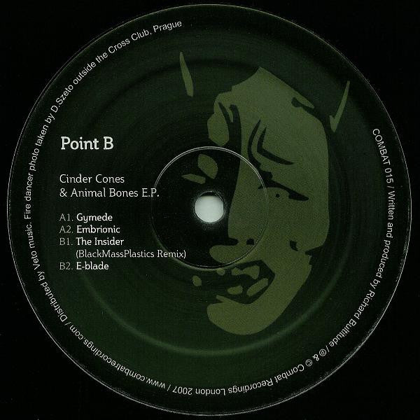 Point B : Cinder Cones & Animal Bones (12", EP)