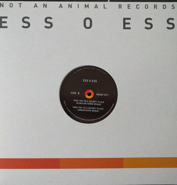 Ess O Ess (2) : Take You To A Secret Place (12")
