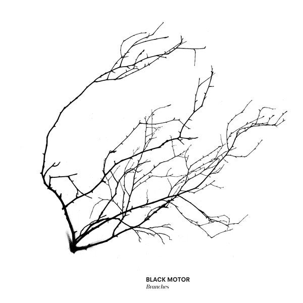 Black Motor : Branches (CD, Album)