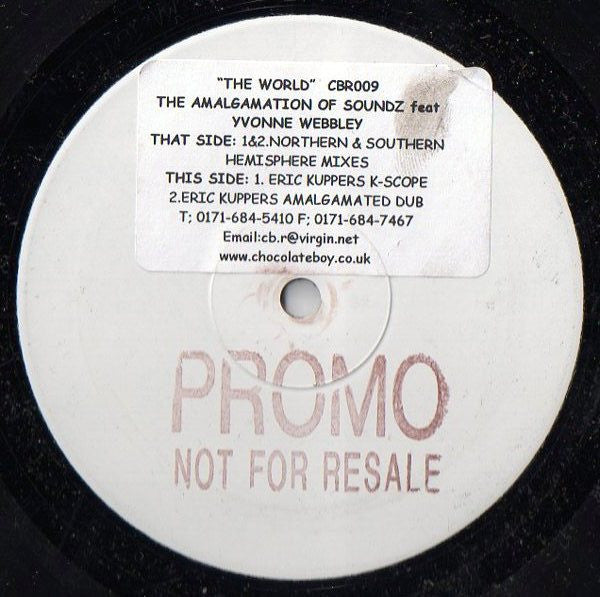 The Amalgamation Of Soundz Featuring Yvonne Webbley : The World (12", Promo)