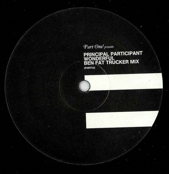 Principal Participant : Wonderful (12", Single)