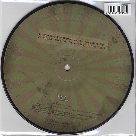 Enter Shikari : Anything Can Happen In The Next Half Hour... (7", Single, Pic)