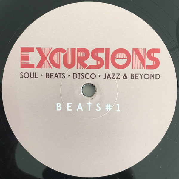 Darkhouse Family (2) : A Library Excursion (12")
