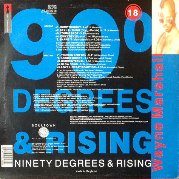 Wayne Marshall (3) : Ninety Degrees & Rising (LP)