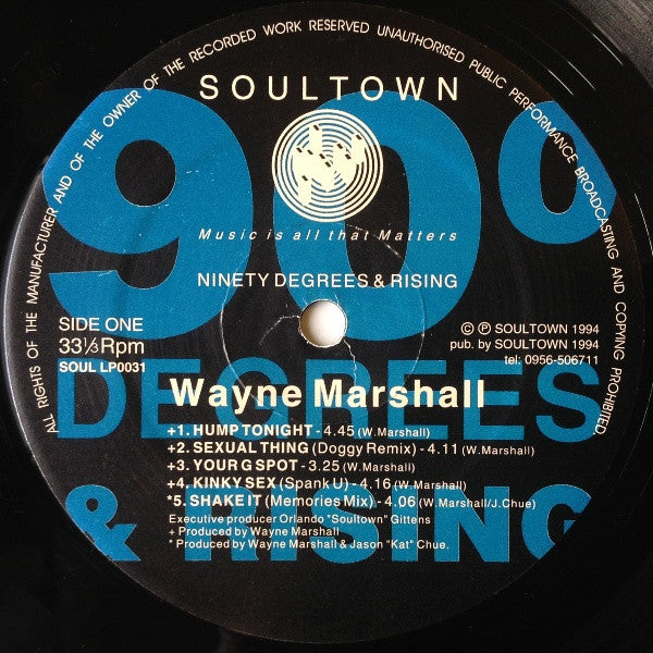 Wayne Marshall (3) : Ninety Degrees & Rising (LP)