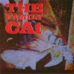 The Family Cat : River Of Diamonds (12", Single)