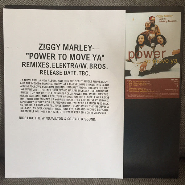 Ziggy Marley And The Melody Makers : Power To Move Ya (12", Promo)