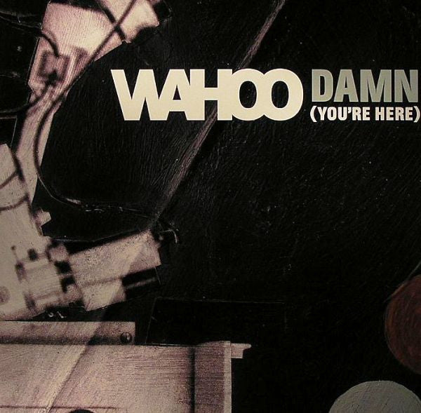 Wahoo : Damn (You're Here) (12")