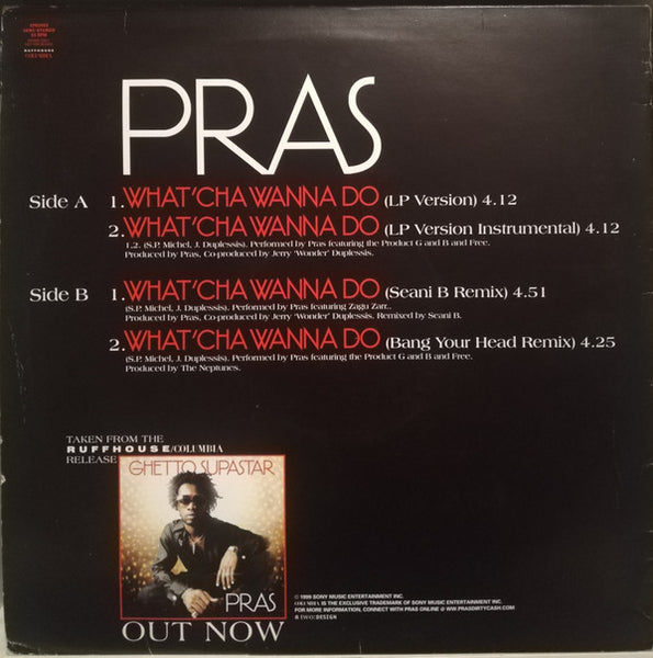 Pras Michel : What'cha Wanna Do (12", Promo)