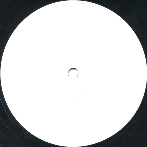 Traxster : Flashbacks (12", Promo, W/Lbl)