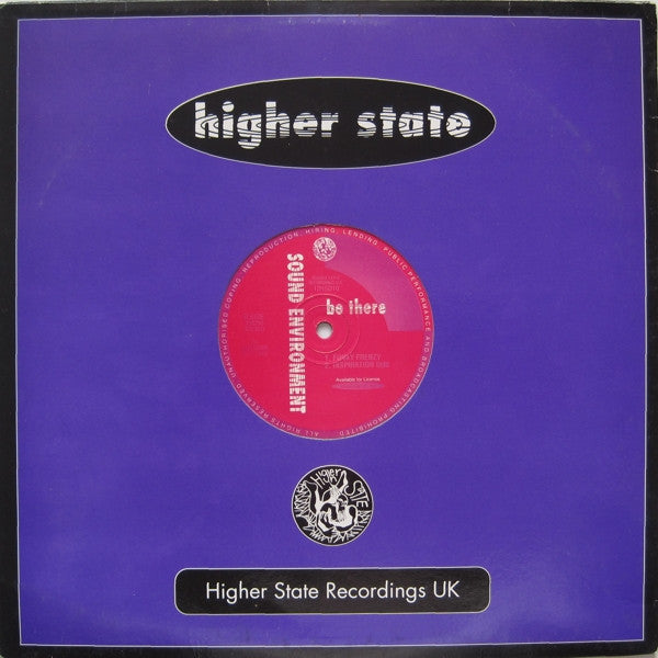 Sound Environment : Natural High (The Remixes) (12", Pin)