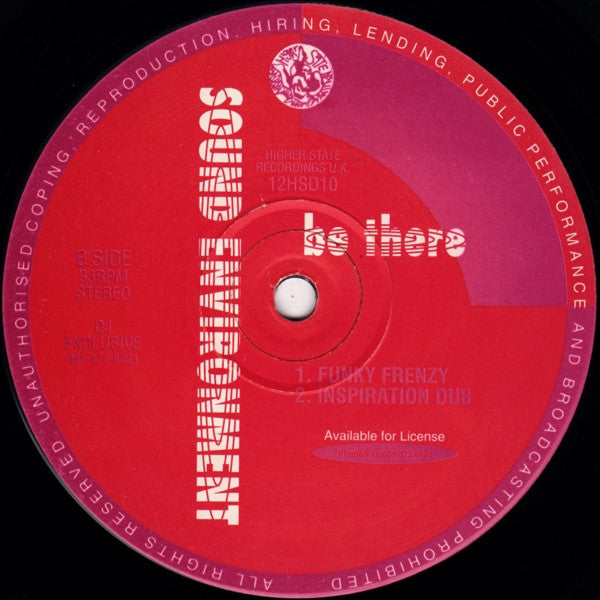 Sound Environment : Natural High (The Remixes) (12", Pin)