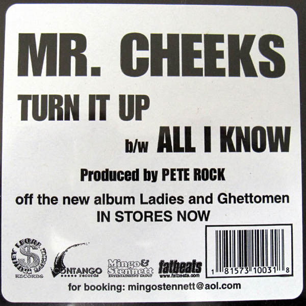 Mr. Cheeks : Turn It Up / All I Know (12")