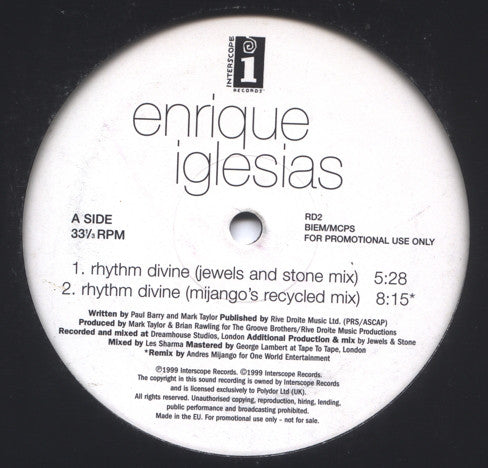 Enrique Iglesias : Rhythm Divine (12", Promo)