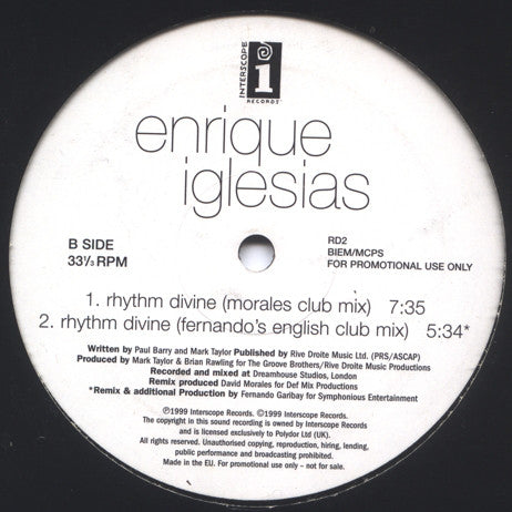 Enrique Iglesias : Rhythm Divine (12", Promo)