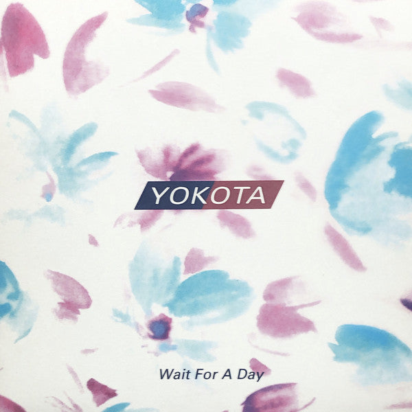 Susumu Yokota : Wait For A Day (12")