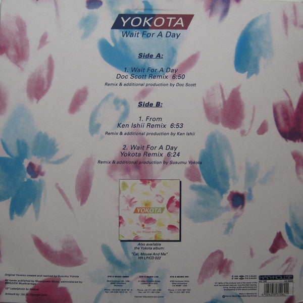 Susumu Yokota : Wait For A Day (12")